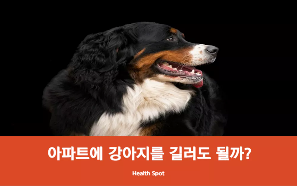 아파트에서 강아지를 길러도 될까에 대한 토론글에 대한 썸네일